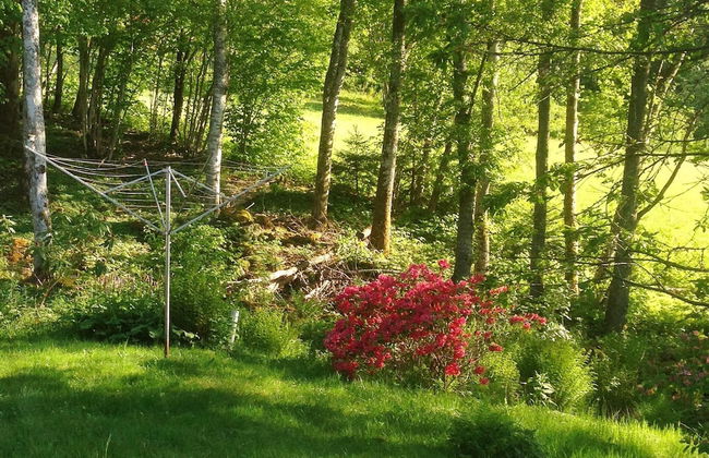 7 Person Holiday Home in Allingsas, Sverige - Foto 20