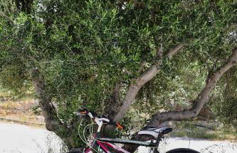 Villa Thea sitia - Foto 72