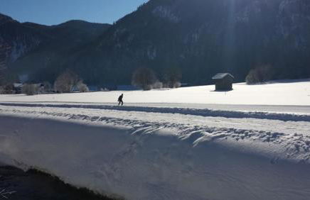 Am Schlierbach - Foto 17