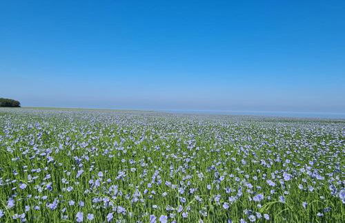 LES TAMARIS, Villa face à la mer, emplacement privilégié - Foto 49