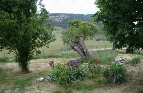 Le gite panda saint-maymes - Foto 16