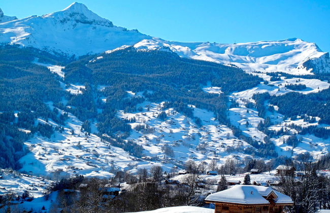 1 bedroom Apartment in Grindelwald with garden - Photo 20