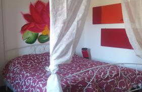 Il sole sopra gli ulivi - Foto 15