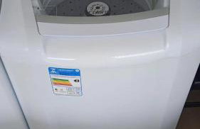 AP 22 hortência - Foto 16