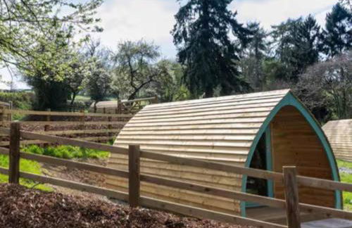 The Orchard - Ukc7804 - Foto 8