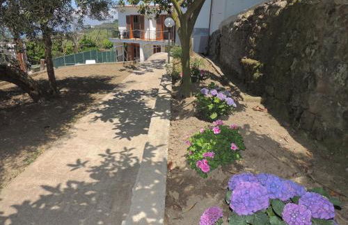 Johanna’s house - Foto 47