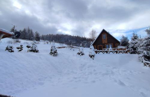 Domki Bieszczadzki Czar Rodzinny 661-850-410 - Photo 69