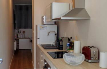 Appartement Hestia F1 bis + terrasse hyper centre - Foto 6