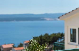 Waterview Apartments - Koru Apartment and pool - Photo 28