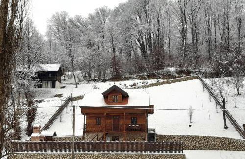 Vila Trnoružica - Foto 53