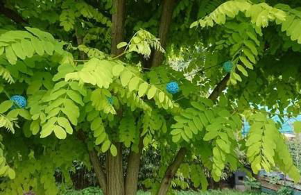 Gîte Alsace maison indépendante proche Strasbourg - Foto 33