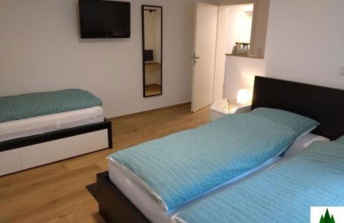 Ferienwohnung Fichtenwald Kohlhof - Ebenerdig, Zentral, Ruhig - Foto 8