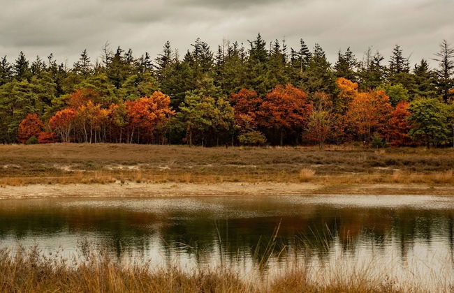Villa in Someren Near Golf Course - Photo 34