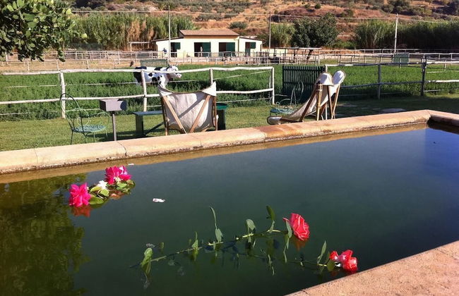 Tenuta Bartoli Maison de charme - Foto 37