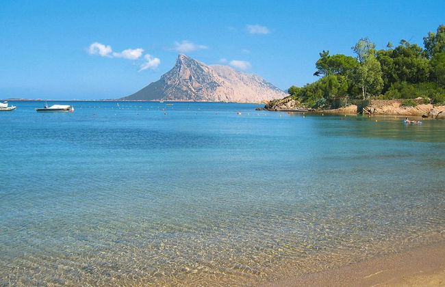 Apartment in Monte Petrosu Near San Teodoro - Foto 24