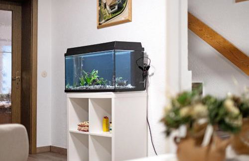 Pension zum Europapark- Kaiserstuhl - Foto 17