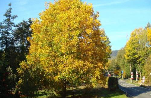 Wohnung im Teutoburger Wald Externsteine - Foto 44