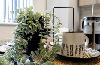 Casa Lobo's Beautiful Suites Apartment 1 free offroad parking - Foto 11