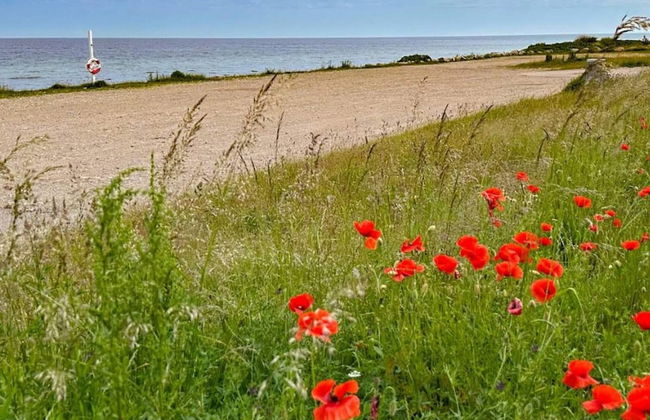 6 Person Holiday Home in Sjaellands Odde-by Traum - Foto 22