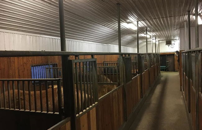 Gamla húsið - The old house - Foto 11