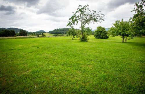 Villa 200m2 avec PISCINE chauffée & SPA & sauna & kota-grill - Foto 48