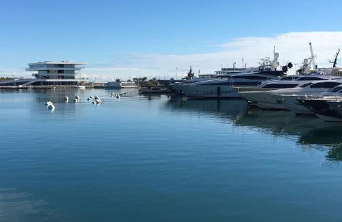 City Center Atico 360 - Photo 16