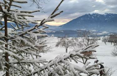 Herzleierhof Rodeneck - Photo 19