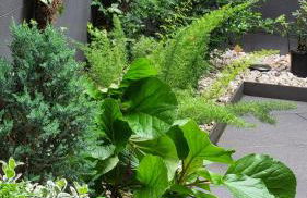 Apartaments y Habitacions Entre Volcans - Foto 10