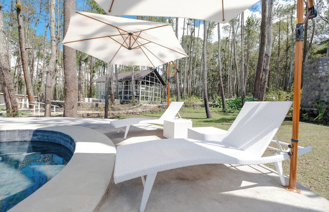 La Pino Mount Batur and Hot Spring - Foto 1