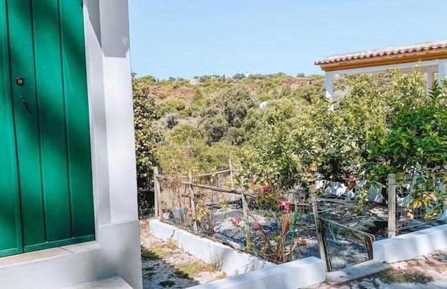 Cá Vamos T1 - Hortacasa - Foto 28