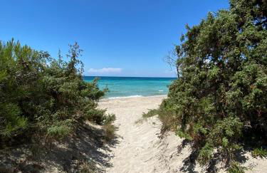 La Fenice sulla spiaggia - Foto 4