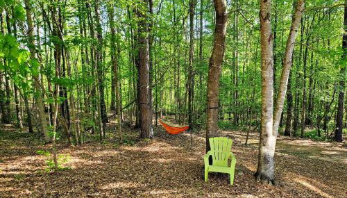 Cozy basement apartment - Foto 2