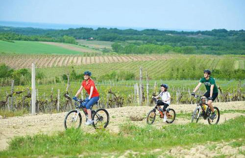 Villa Maria Tereza - Foto 37