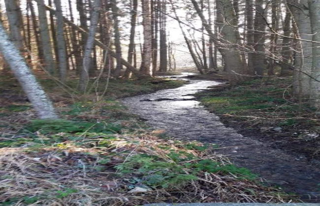 Rendeux Forest View Retreat - Photo 37