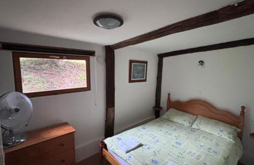 Le Terrier Blanc - Foto 8