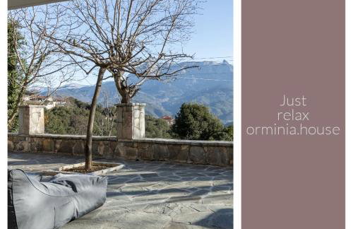 Orminia ground level - Foto 34