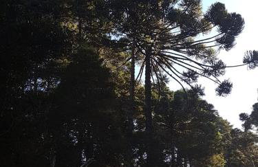 Condessa de Bonneval em Campos do Jordão - Foto 62