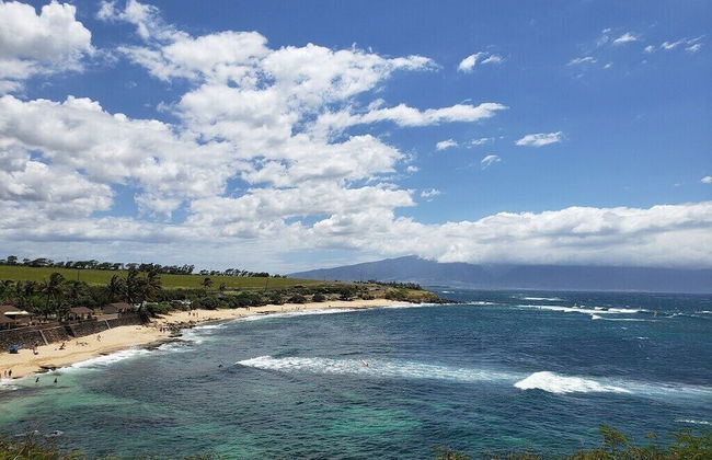 Hawaiian Dream Temple - Foto 24