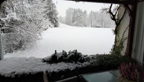 Ferienwohnung Heidebiene - Foto 5