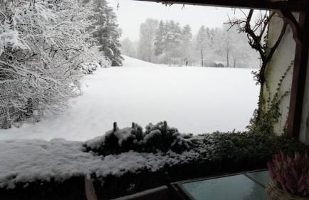 Ferienwohnung Heidebiene - Foto 5