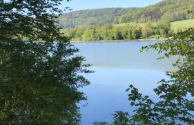 Ferienwohnung mit Terrasse bei Nürnberg - Foto 24