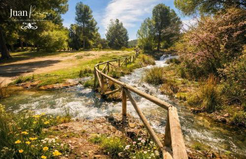 El Paraíso Del Rey - Foto 71