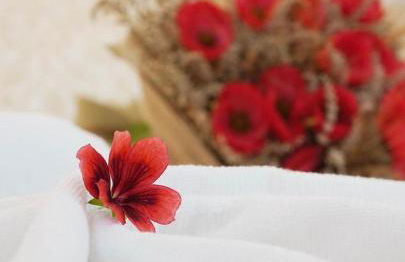 Il Bosco Guest House Subiaco - Foto 44