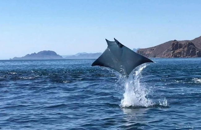 Casa Bahama by Casago - Foto 32