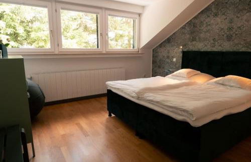 Eifel21 - stilvolles Haus in der Vulkaneifel - Foto 11