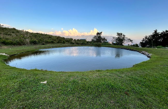 HOTEL BOUTIQUE EL FIQUE - Photo 11