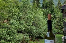 Appartamento a Sella Nevea per sci e montagna con ampio balcone - Foto 28