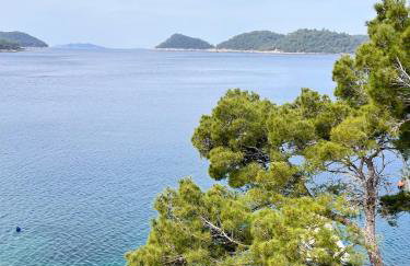 Terrace studios with panoramic seaview - Foto 16