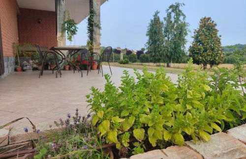 Casa Emy da Teresina - Photo 17