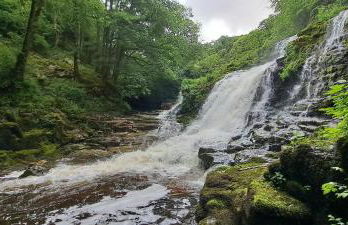 Elm Grove - Photo 12